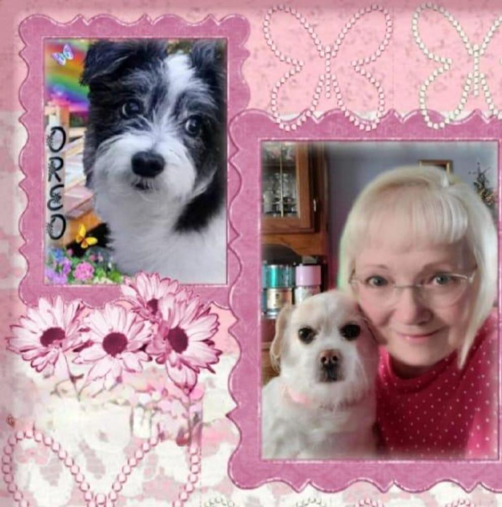 Meet your Posher, Suzie